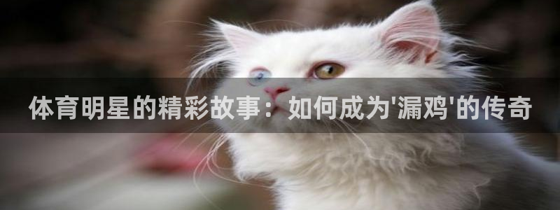 kok新版中欧体育