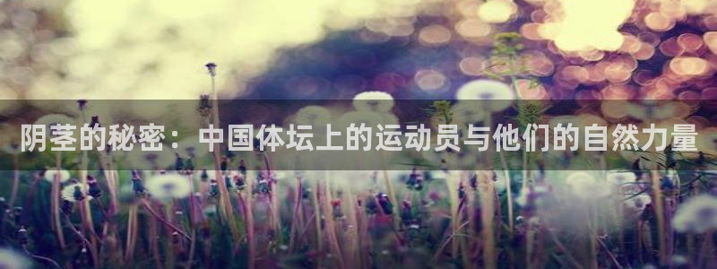中欧体育全站app