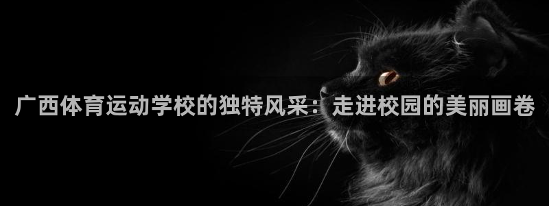 zoty中欧体育平台
