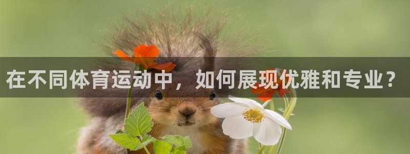 kok中欧体育：在不同体育运动中，如何展现优雅和专业？