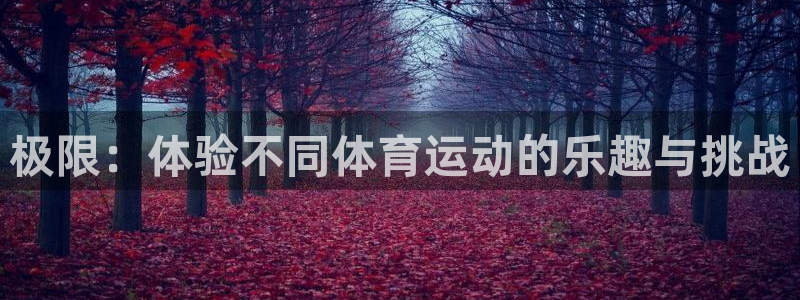 中欧体育网页登录：极限：体验不同体育运动的乐趣与挑战