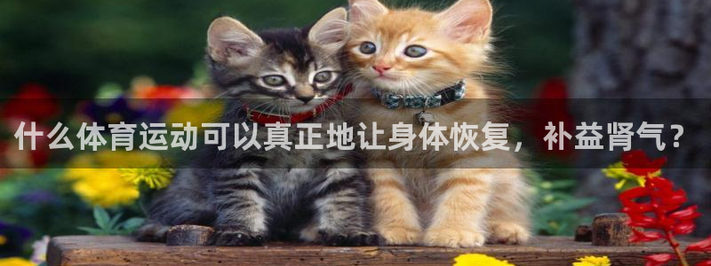 中欧体育网址：什么体育运动可以真正地让身体恢复，补益肾气？