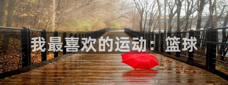 中欧体育平台：我最喜欢的运动：篮球